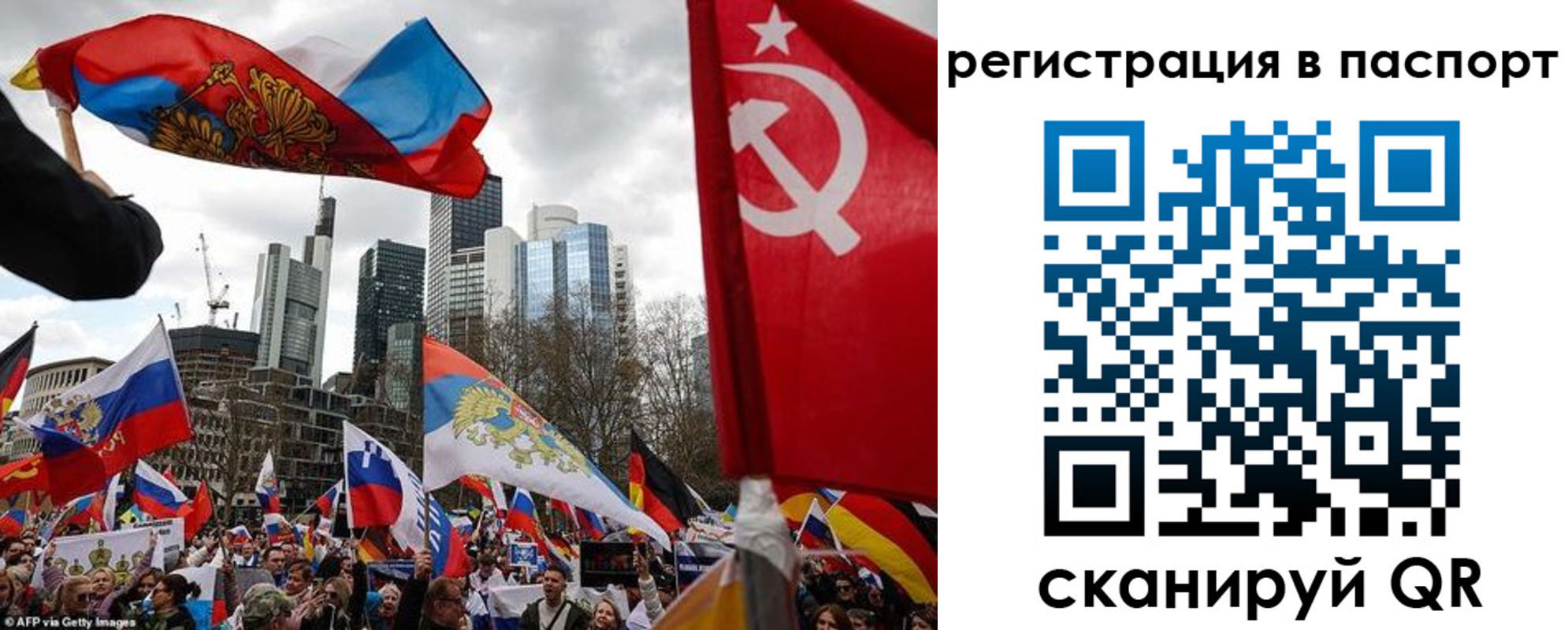 временная регистрация поиск в Сольцах